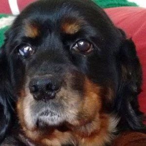 Meet your Posher, Sean